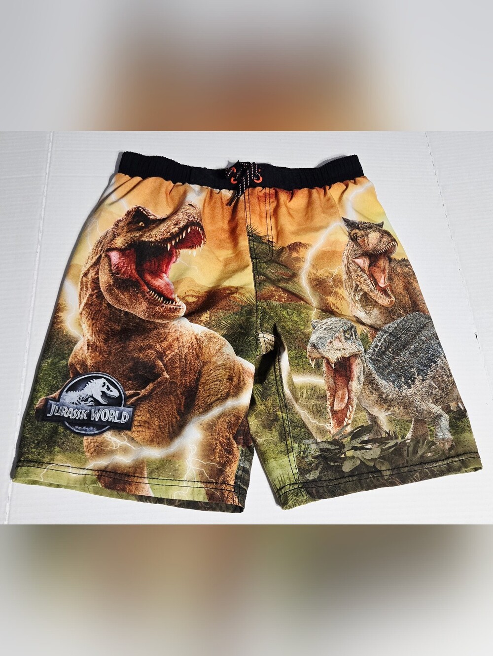 Jurassic World Boys Swim Trunks Size 14/16 Black Knight Dinosaur Graphic Board